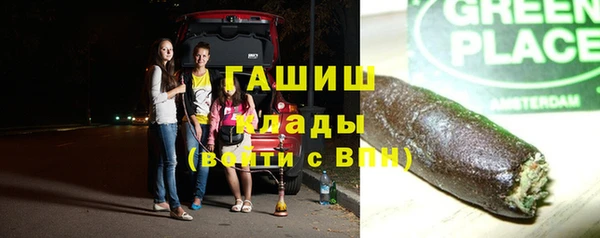 гашиш Богданович