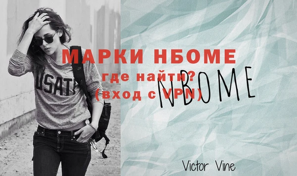 шишки Аркадак