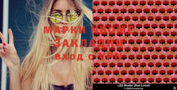 мяу мяу мука Белокуриха