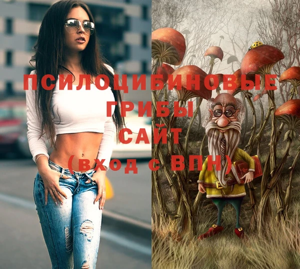 мяу мяу мука Белокуриха