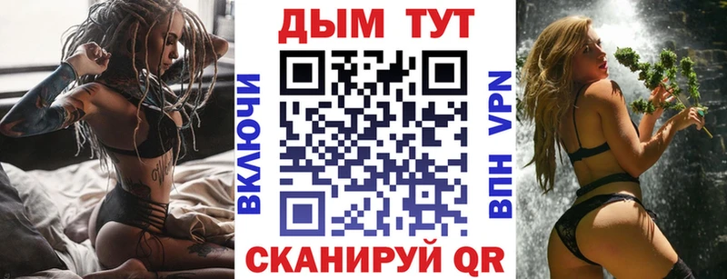 Конопля сатива Сибай
